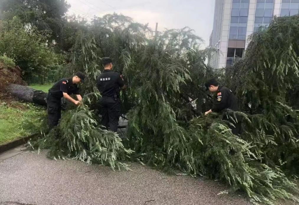 C:/Users/BA/Desktop/風雨過后南京保安迅速行動，恢復安“寧”面貌/1.jpg1